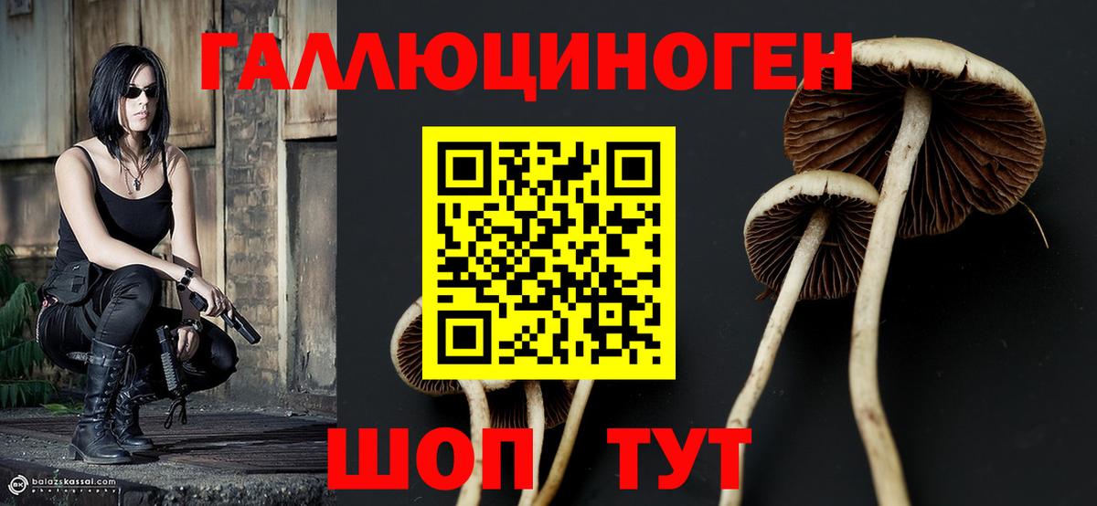 Галлюциногенные грибы прущие грибы Сухой Лог